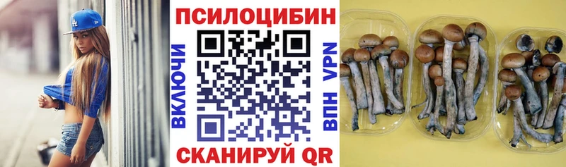 купить наркоту  Жирновск  Галлюциногенные грибы Magic Shrooms 
